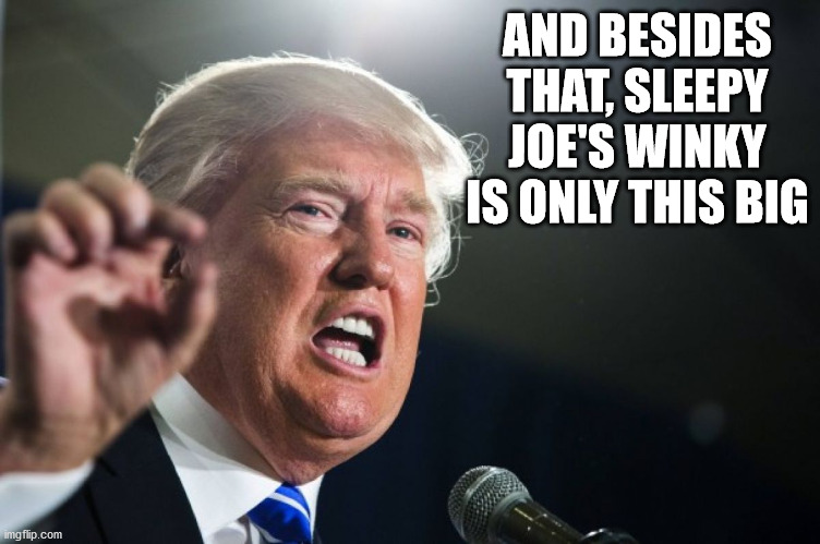 donald trump | AND BESIDES THAT, SLEEPY JOE'S WINKY IS ONLY THIS BIG | image tagged in donald trump | made w/ Imgflip meme maker