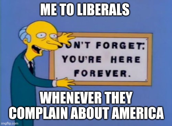 That awkward moment when your love of capitalistic benefits outweighs your hollow political bolstering. haha | ME TO LIBERALS; WHENEVER THEY COMPLAIN ABOUT AMERICA | image tagged in don't forget your here forever | made w/ Imgflip meme maker