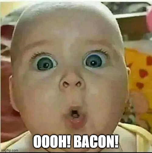   OOOH baby | OOOH! BACON! | image tagged in oooh baby | made w/ Imgflip meme maker