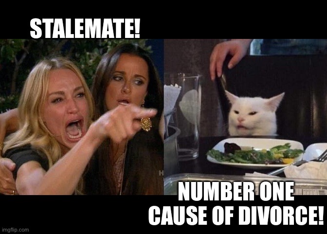 Woman yelling at cat | STALEMATE! NUMBER ONE CAUSE OF DIVORCE! | image tagged in woman yelling at smudge the cat | made w/ Imgflip meme maker