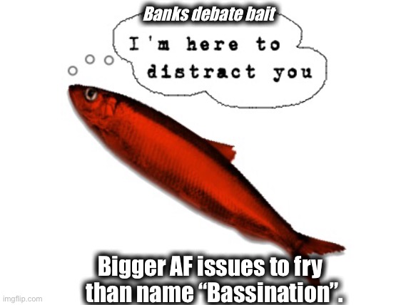 Banks debate bait; Bigger AF issues to fry   than name “Bassination”. | made w/ Imgflip meme maker