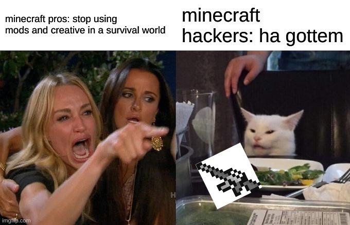 Minecraft hackers | minecraft pros: stop using mods and creative in a survival world; minecraft hackers: ha gottem | image tagged in memes,woman yelling at cat,minecraft | made w/ Imgflip meme maker