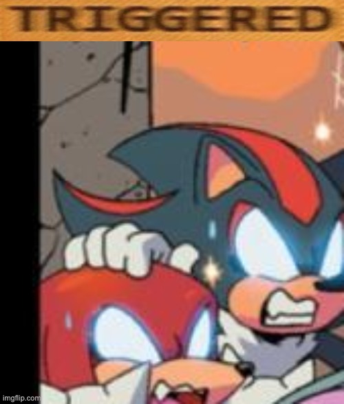 Triggered Shadow and Knuckles | image tagged in shadow the hedgehog | made w/ Imgflip meme maker