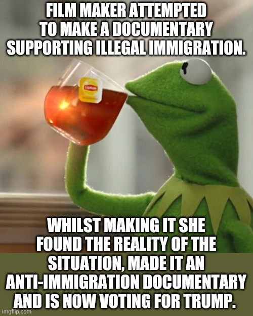 Now make one on the welfare system ..! | FILM MAKER ATTEMPTED TO MAKE A DOCUMENTARY SUPPORTING ILLEGAL IMMIGRATION. WHILST MAKING IT SHE FOUND THE REALITY OF THE SITUATION, MADE IT AN ANTI-IMMIGRATION DOCUMENTARY AND IS NOW VOTING FOR TRUMP. | image tagged in memes,but that's none of my business,kermit the frog | made w/ Imgflip meme maker