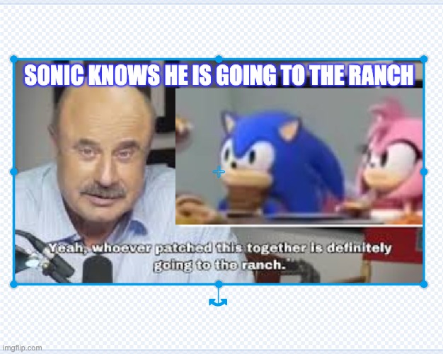 dr. Phill sends sonic to the ranch | image tagged in sonic the hedgehog | made w/ Imgflip meme maker