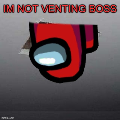 i'm just cleaning the vent boss | IM NOT VENTING BOSS | image tagged in among us,cat,imposter | made w/ Imgflip meme maker