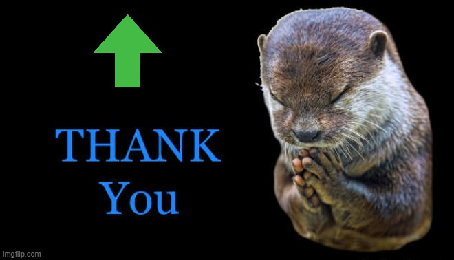 thank you | image tagged in thank you | made w/ Imgflip meme maker