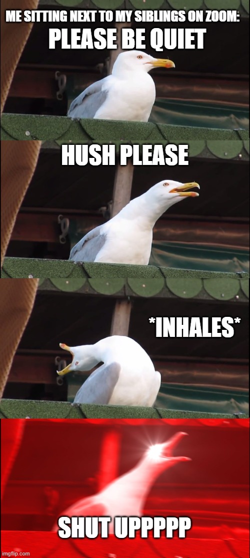 Inhaling Seagull | ME SITTING NEXT TO MY SIBLINGS ON ZOOM:; PLEASE BE QUIET; HUSH PLEASE; *INHALES*; SHUT UPPPPP | image tagged in memes,inhaling seagull | made w/ Imgflip meme maker