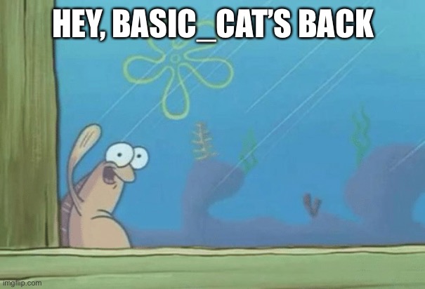 Hey SpongeBob's back | HEY, BASIC_CAT’S BACK | image tagged in hey spongebob's back | made w/ Imgflip meme maker