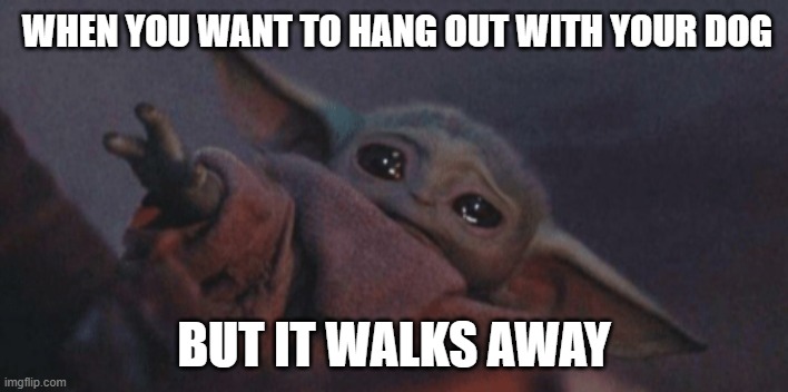 Baby yoda cry | WHEN YOU WANT TO HANG OUT WITH YOUR DOG; BUT IT WALKS AWAY | image tagged in baby yoda cry | made w/ Imgflip meme maker
