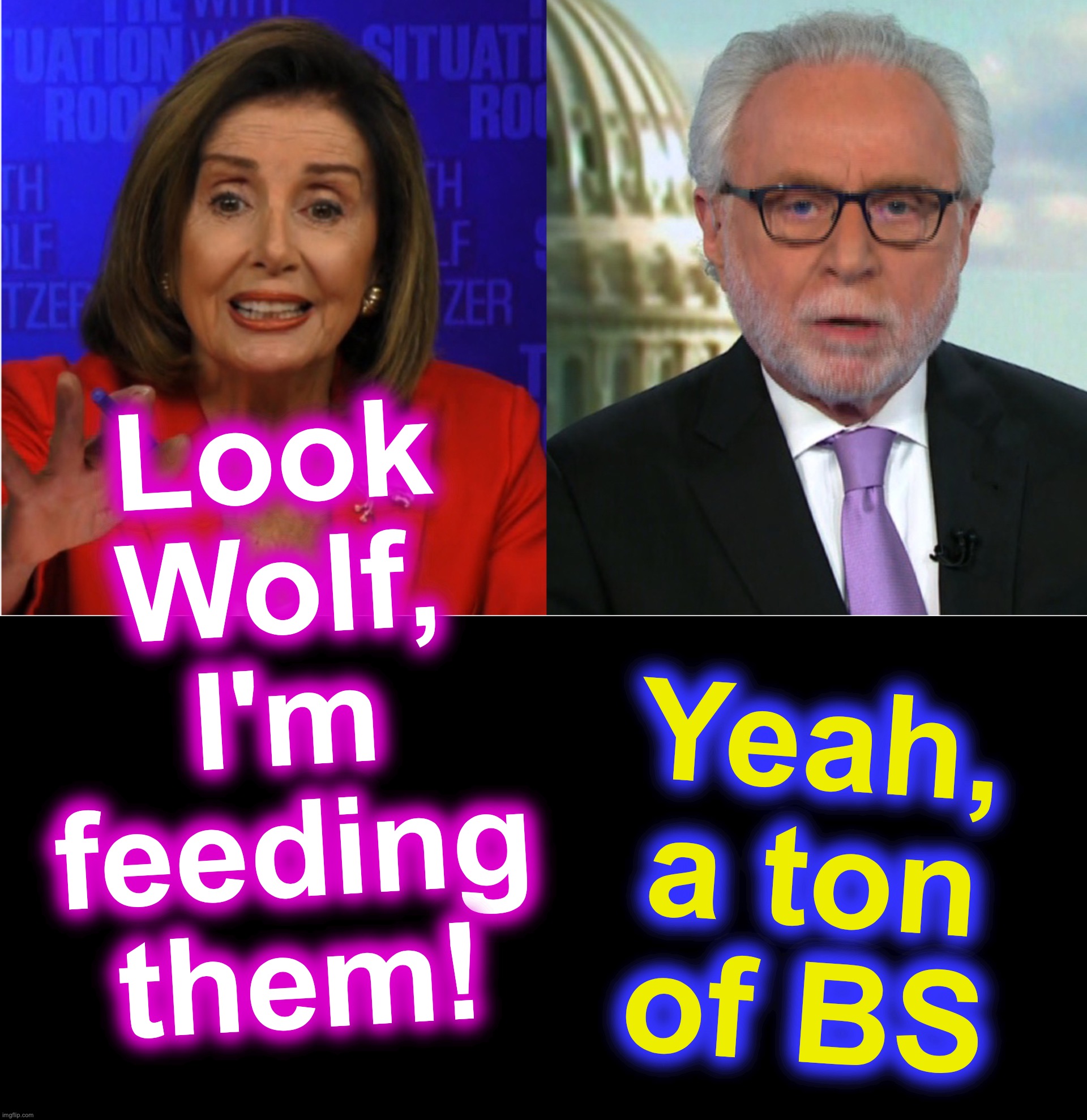 Yeah, a ton of BS; Look Wolf, I'm feeding them! | image tagged in nancy pelosi,wolf | made w/ Imgflip meme maker