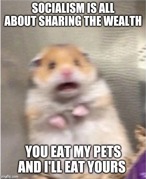 Scared Hamster | SOCIALISM IS ALL ABOUT SHARING THE WEALTH; YOU EAT MY PETS AND I'LL EAT YOURS | image tagged in scared hamster | made w/ Imgflip meme maker
