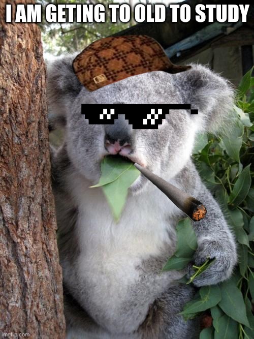 Surprised Koala Meme | I AM GETING TO OLD TO STUDY | image tagged in memes,surprised koala | made w/ Imgflip meme maker