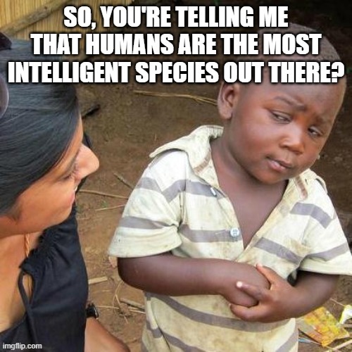 human | image tagged in third world skeptical kid | made w/ Imgflip meme maker