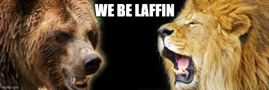 We Be Laffin | WE BE LAFFIN | image tagged in go bears,chicago bears,lions,bears,nfc north division trash talk | made w/ Imgflip meme maker
