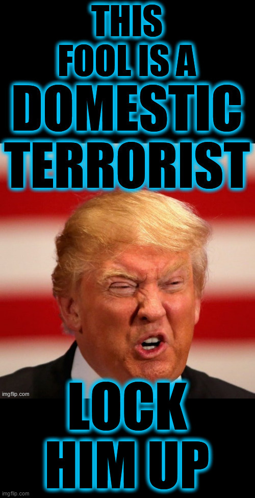 He is a threat to Governors AND a threat to National Security! He needs to be locked up for the safety of our Nation! DUMP TRUMP | LOCK HIM UP | image tagged in threat to our national secuirty,domestic terrorist,trump is an asshole,psychopath,lock him up,dump trump | made w/ Imgflip meme maker