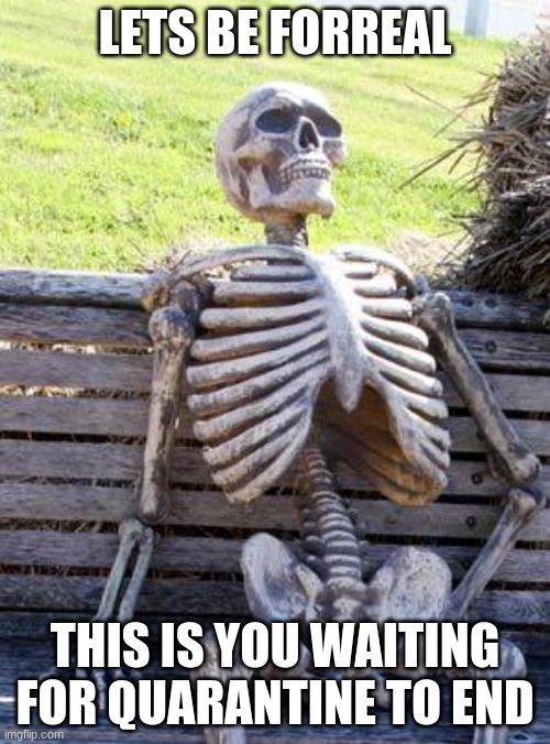 forreal tho | LETS BE FORREAL; THIS IS YOU WAITING FOR QUARANTINE TO END | image tagged in memes,waiting skeleton | made w/ Imgflip meme maker