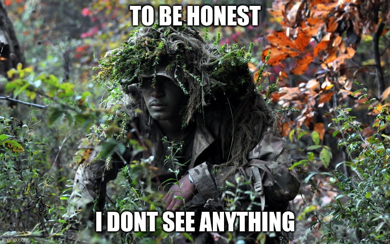 i really dont | TO BE HONEST; I DONT SEE ANYTHING | image tagged in camouflage | made w/ Imgflip meme maker