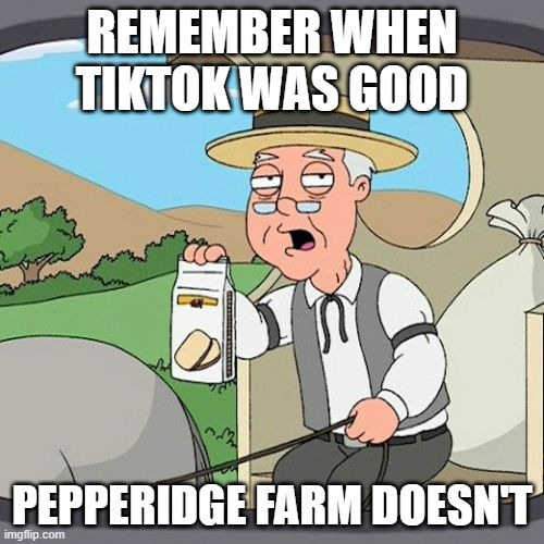 Pepperidge Farm Remembers Meme | REMEMBER WHEN TIKTOK WAS GOOD; PEPPERIDGE FARM DOESN'T | image tagged in memes,pepperidge farm remembers | made w/ Imgflip meme maker