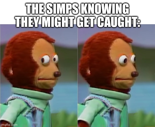 akward monkey | THE SIMPS KNOWING THEY MIGHT GET CAUGHT: | image tagged in akward monkey | made w/ Imgflip meme maker