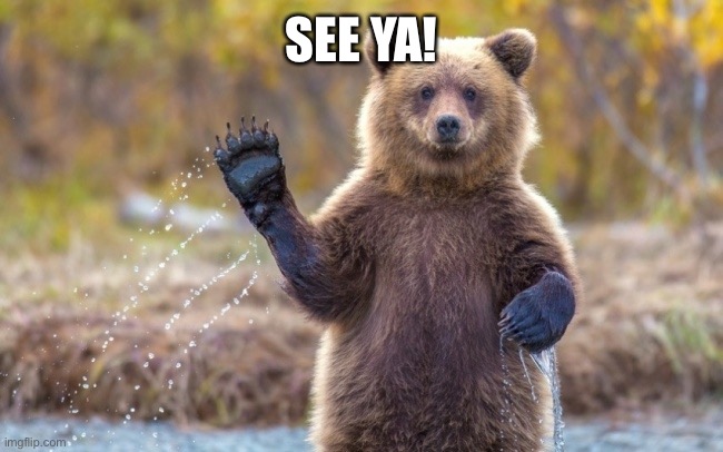 bye bye bear | SEE YA! | image tagged in bye bye bear | made w/ Imgflip meme maker