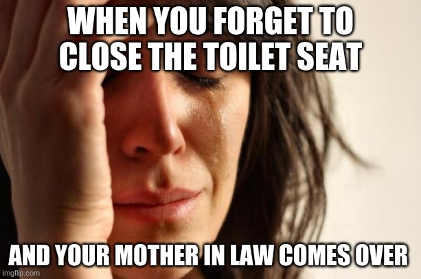 First World Problems Meme | WHEN YOU FORGET TO CLOSE THE TOILET SEAT; AND YOUR MOTHER IN LAW COMES OVER | image tagged in memes,first world problems | made w/ Imgflip meme maker