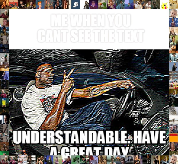 UNDERSTANDABLE, HAVE A GREAT DAY | ME WHEN YOU CANT SEE THE TEXT | image tagged in understandable have a great day | made w/ Imgflip meme maker