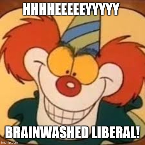 HHHHEEEEEYYYYY BRAINWASHED LIBERAL! | made w/ Imgflip meme maker