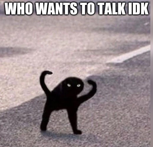 Cursed Cat | WHO WANTS TO TALK IDK | image tagged in cursed cat | made w/ Imgflip meme maker