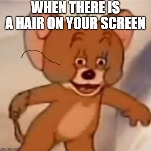 Polish Jerry | WHEN THERE IS A HAIR ON YOUR SCREEN | image tagged in never,gonna,give,you,up,polish jerry | made w/ Imgflip meme maker