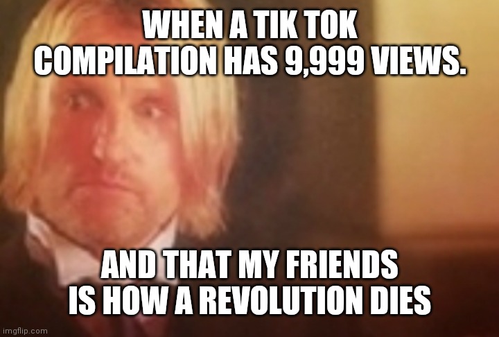 WHEN A TIK TOK COMPILATION HAS 9,999 VIEWS. AND THAT MY FRIENDS IS HOW A REVOLUTION DIES | made w/ Imgflip meme maker