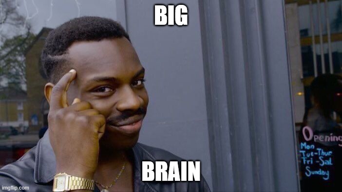 BiG bRaIn | BIG; BRAIN | image tagged in memes,roll safe think about it | made w/ Imgflip meme maker