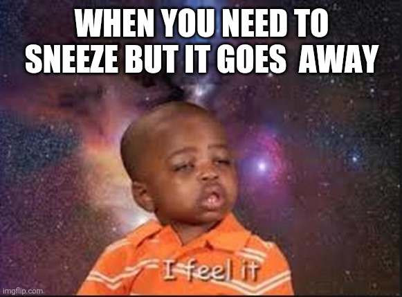 sneeze | WHEN YOU NEED TO SNEEZE BUT IT GOES  AWAY | image tagged in sneeze,funny,relatable,haha,meme,fyp | made w/ Imgflip meme maker