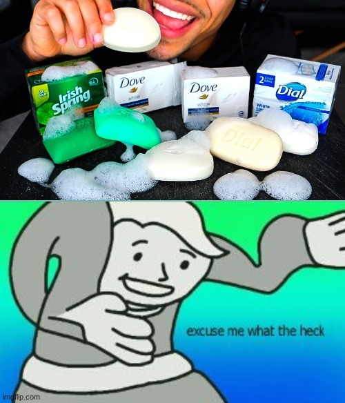 Eating soap | image tagged in excuse me what the heck | made w/ Imgflip meme maker