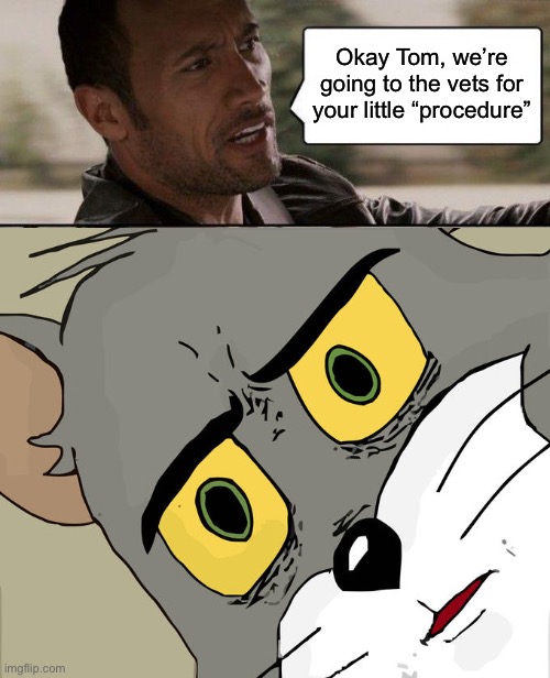 Okay Tom, we’re going to the vets for your little “procedure” | made w/ Imgflip meme maker