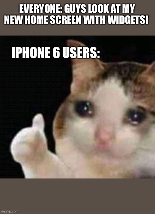 Approved crying cat | EVERYONE: GUYS LOOK AT MY NEW HOME SCREEN WITH WIDGETS! IPHONE 6 USERS: | image tagged in approved crying cat | made w/ Imgflip meme maker