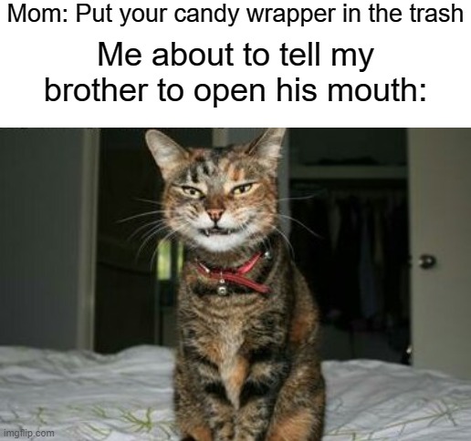 Mom: Put your candy wrapper in the trash; Me about to tell my brother to open his mouth: | image tagged in blank white template,evil smile cat,hehe | made w/ Imgflip meme maker