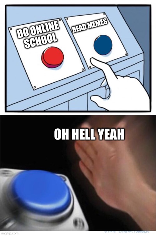 Oh yeah 100% | READ MEMES; DO ONLINE SCHOOL; OH HELL YEAH | image tagged in two buttons 1 blue | made w/ Imgflip meme maker