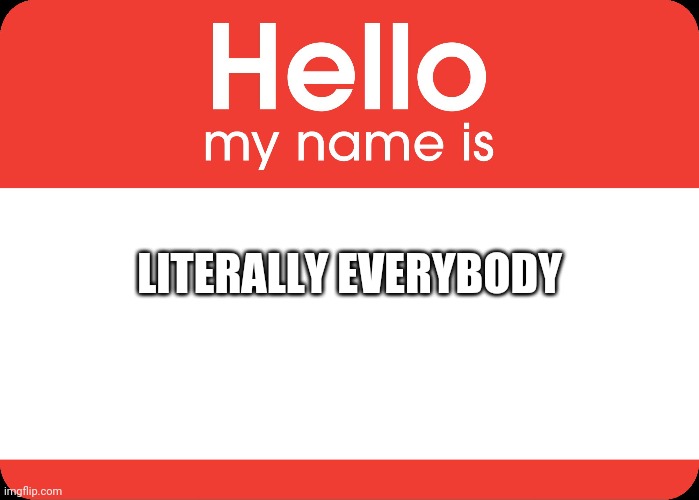 Hello My Name Is | LITERALLY EVERYBODY | image tagged in hello my name is | made w/ Imgflip meme maker