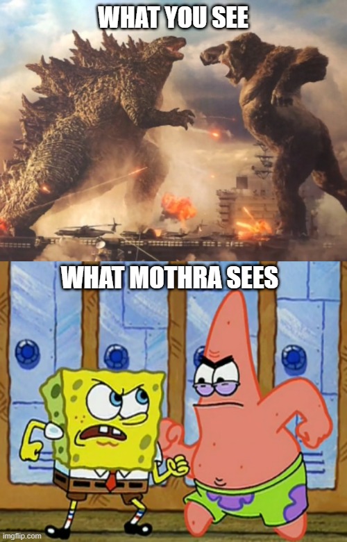 What if Mothra saw Godzilla and Kong fighting? | WHAT YOU SEE; WHAT MOTHRA SEES | image tagged in godzilla vs kong,mothra,godzilla,king kong,spongebob squarepants,patrick star | made w/ Imgflip meme maker