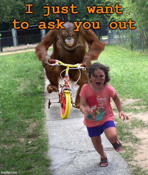 How it feels to ask out a girl and what I look like. | I just want to ask you out | image tagged in orangutan chasing girl on a tricycle | made w/ Imgflip meme maker