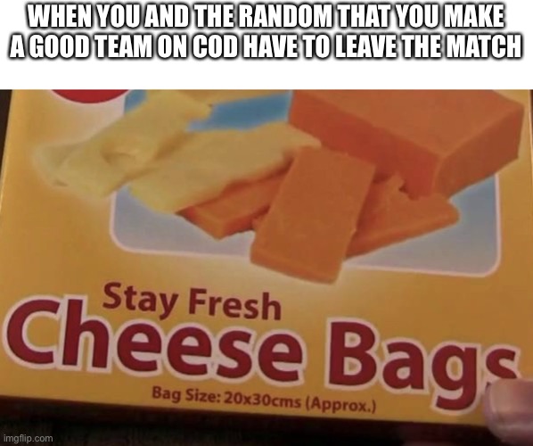 Stay fresh cheese bags | WHEN YOU AND THE RANDOM THAT YOU MAKE A GOOD TEAM ON COD HAVE TO LEAVE THE MATCH | image tagged in stay fresh cheese bags | made w/ Imgflip meme maker