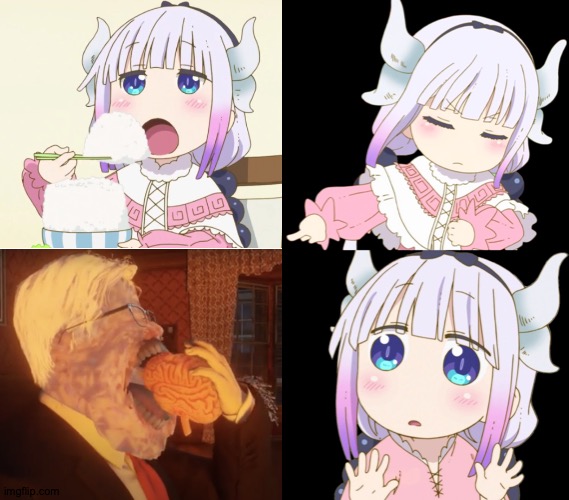 They're The Same Picture | image tagged in kanna drake,memes,tags | made w/ Imgflip meme maker