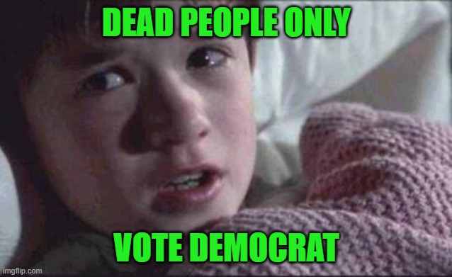 I See Dead People Meme | DEAD PEOPLE ONLY VOTE DEMOCRAT | image tagged in memes,i see dead people | made w/ Imgflip meme maker