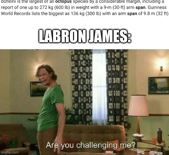 LABRON JAMES: | image tagged in are you challenging me | made w/ Imgflip meme maker