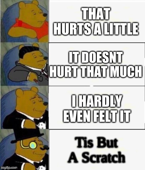 Tuxedo Winnie the Pooh 4 panel | THAT HURTS A LITTLE; IT DOESNT HURT THAT MUCH; I HARDLY EVEN FELT IT; Tis But A Scratch | image tagged in tuxedo winnie the pooh 4 panel | made w/ Imgflip meme maker