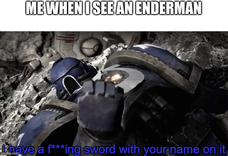 I have a f***ing x | ME WHEN I SEE AN ENDERMAN; I have a f***ing sword with your name on it | image tagged in i have a f ing x,enderman,minecraft,netherite | made w/ Imgflip meme maker
