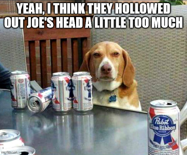 beer dog | YEAH, I THINK THEY HOLLOWED OUT JOE'S HEAD A LITTLE TOO MUCH | image tagged in beer dog | made w/ Imgflip meme maker
