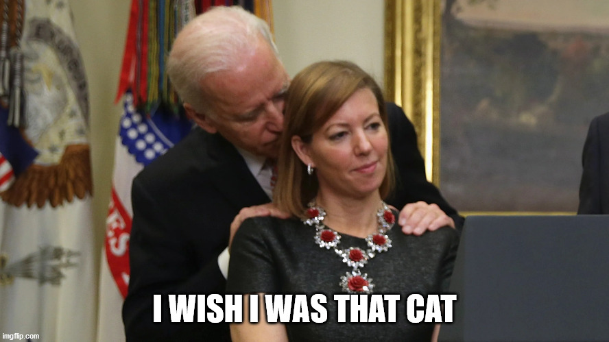 Joe Biden Sniffs Hair | I WISH I WAS THAT CAT | image tagged in joe biden sniffs hair | made w/ Imgflip meme maker