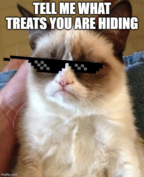 Grumpy Cat | TELL ME WHAT TREATS YOU ARE HIDING | image tagged in memes,grumpy cat | made w/ Imgflip meme maker